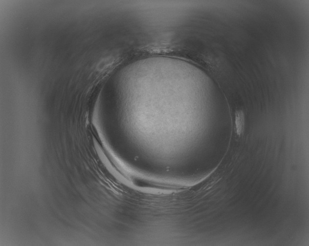 X0000050651444200506151558