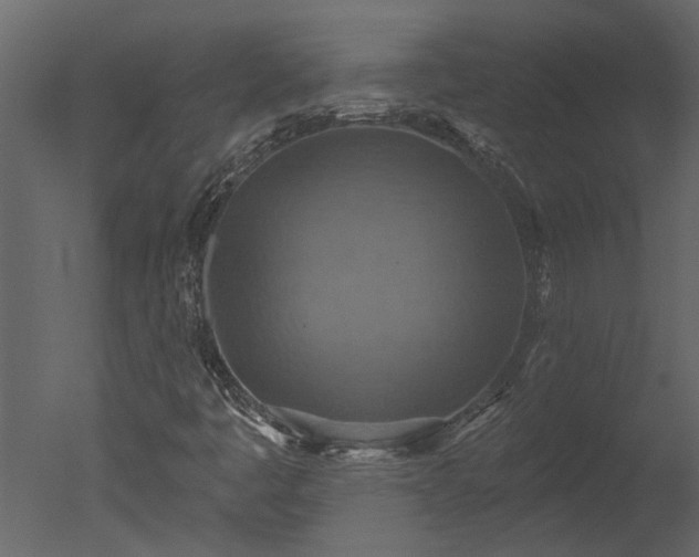 X0000050651445200506151558