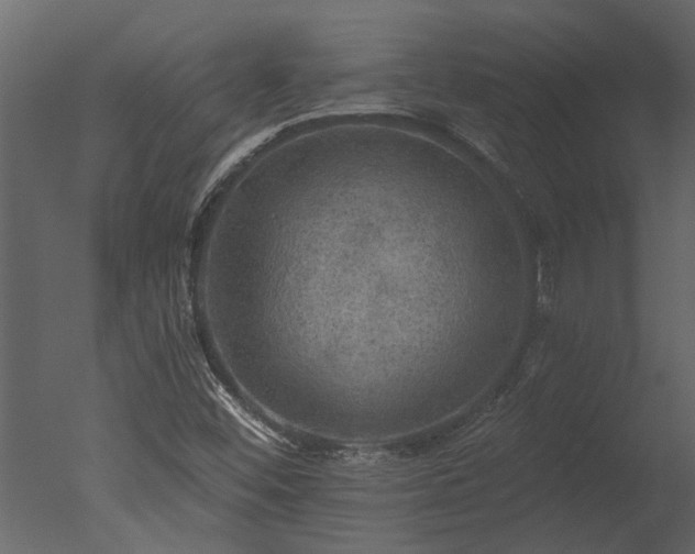 X0000050651452200506151557