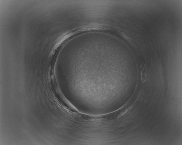X0000050651453200506151557
