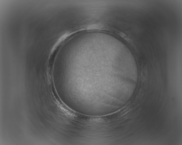 X0000050651454200506151557