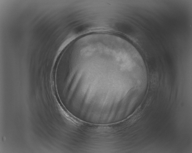 X0000050651466200506151557