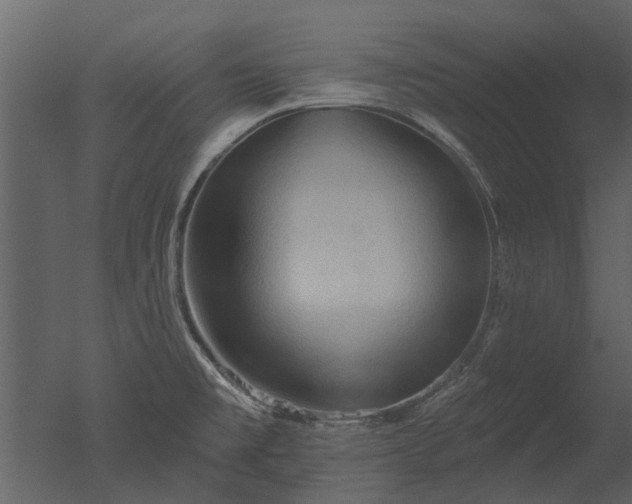 X0000050651477200506151557