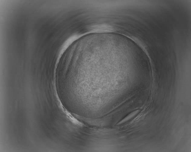 X0000050651488200506151557