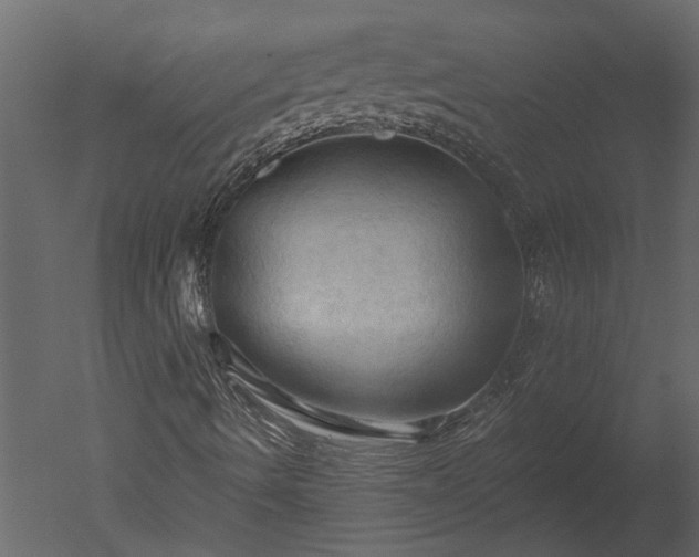 X0000050651490200506151556