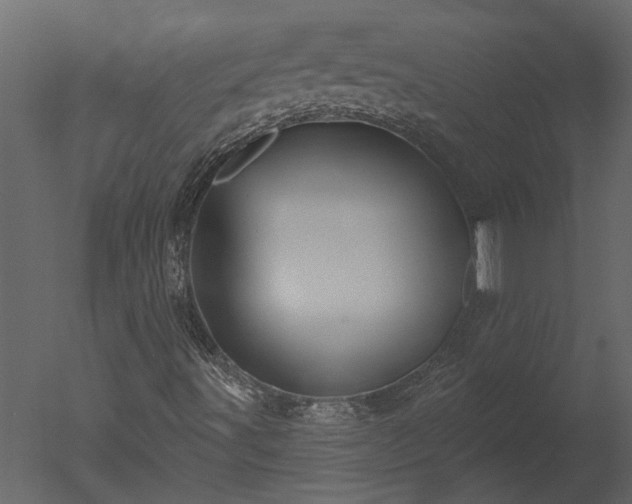 X0000050651491200506151556
