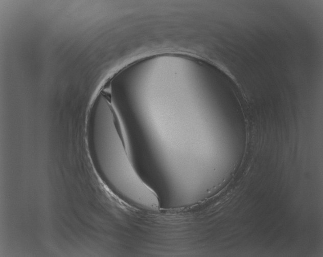 X0000050651508200506151556
