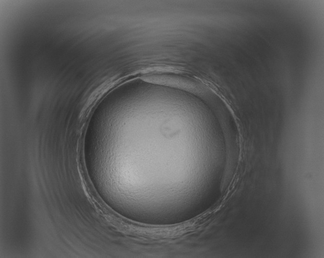 X0000050680001200506151741