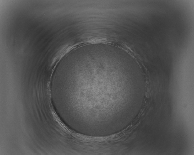 X0000050680002200506151741
