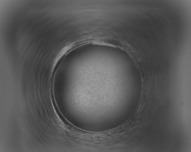 X0000050680003200506151741