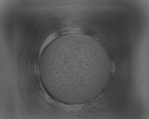 X0000050680004200506151741