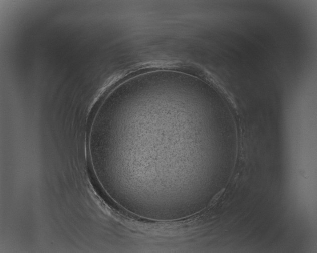 X0000050680011200506151740