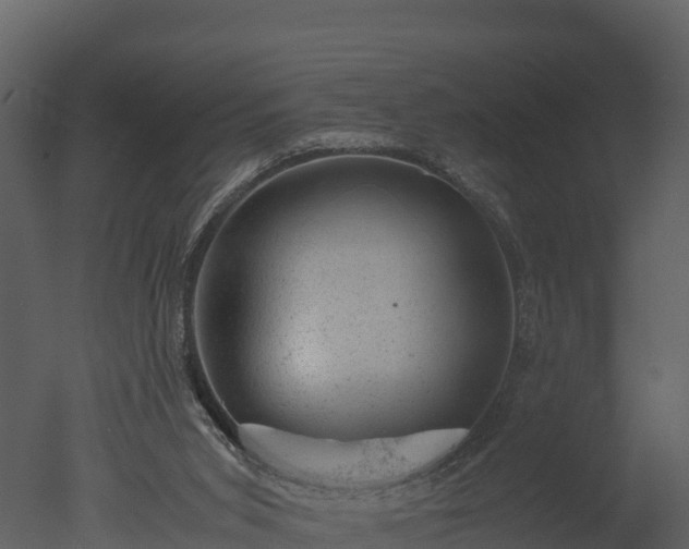 X0000050680015200506151740