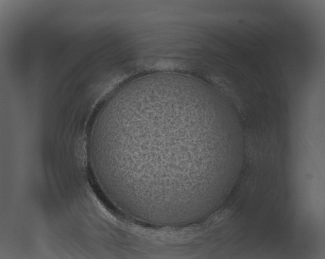 X0000050680016200506151740