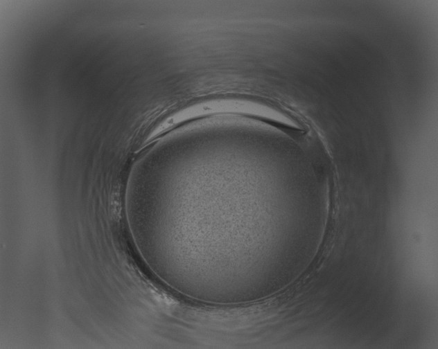 X0000050680017200506151740