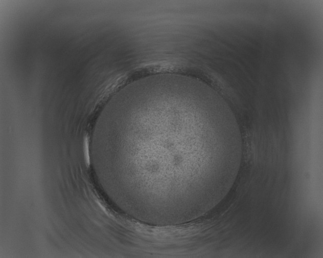 X0000050680022200506151740