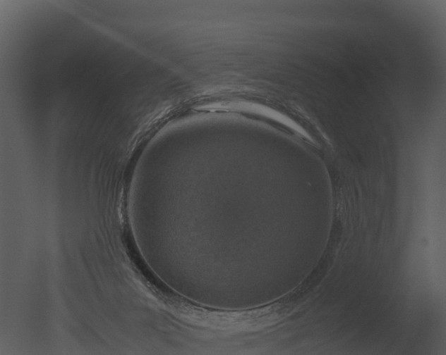 X0000050680023200506151740