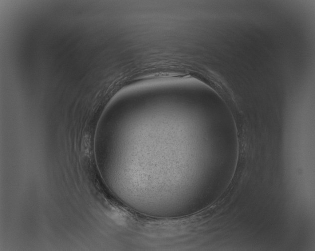 X0000050680025200506151740