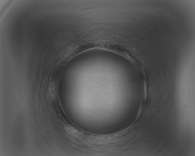 X0000050680037200506151740