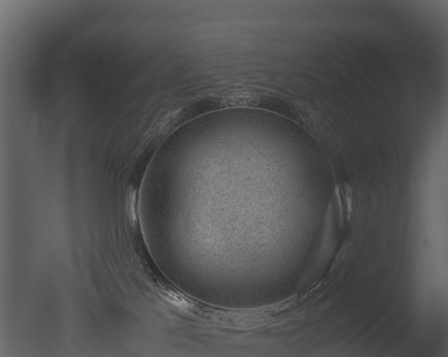 X0000050680041200506151740