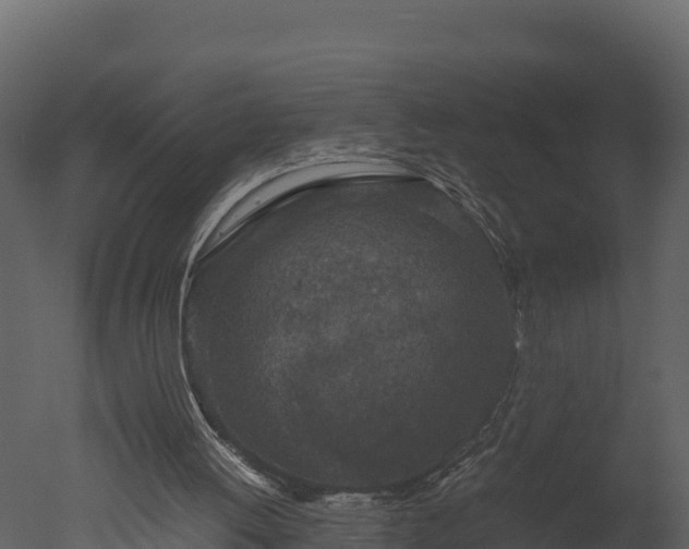 X0000050680052200506151739