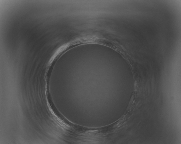 X0000050680054200506151739