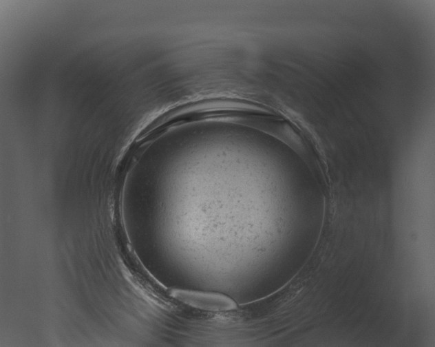 X0000050680060200506151739