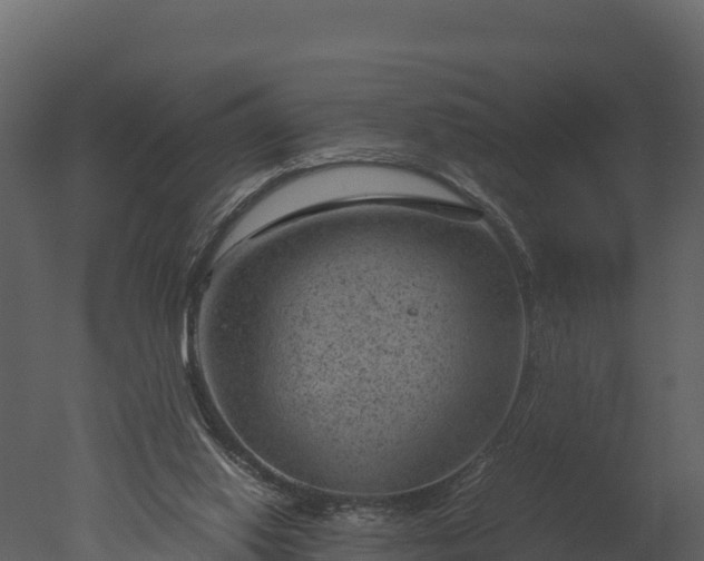 X0000050680062200506151739