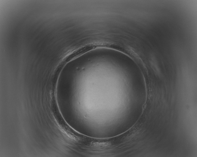 X0000050680063200506151739
