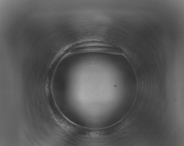 X0000050680064200506151739