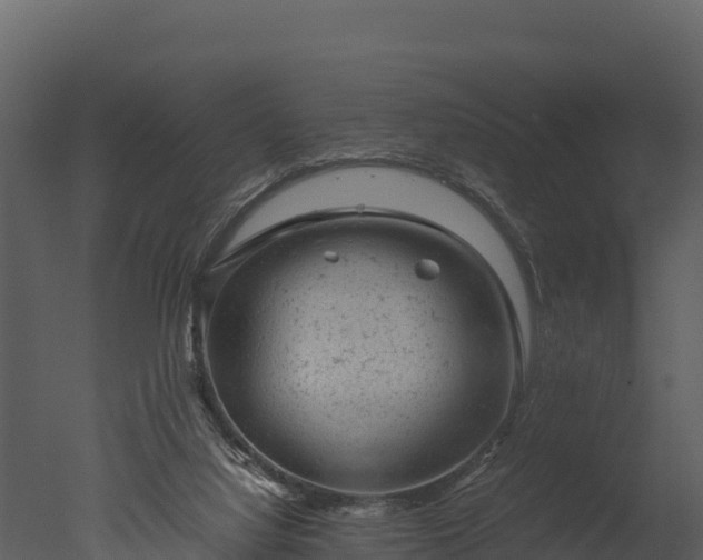 X0000050680068200506151739