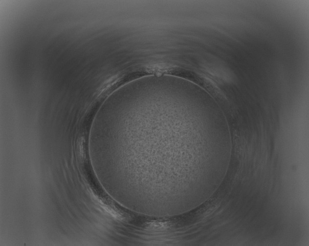 X0000050680071200506151739