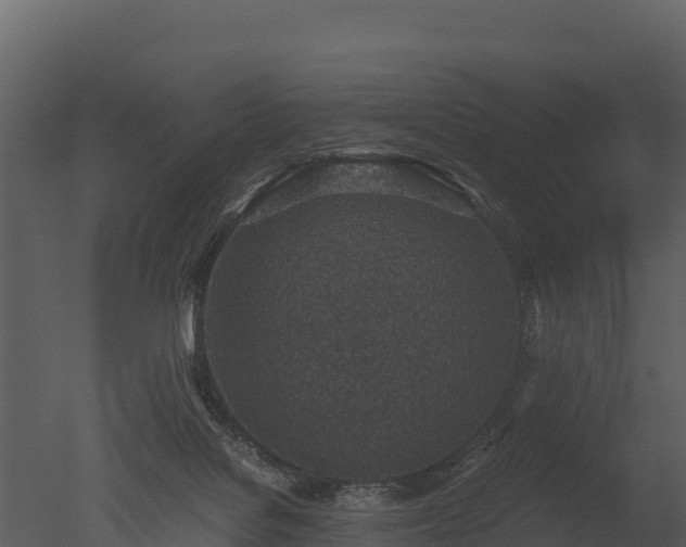 X0000050680076200506151739