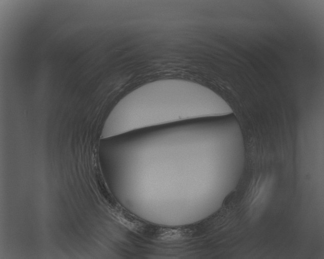 X0000050680083200506151740