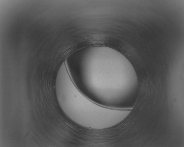 X0000050680084200506151740