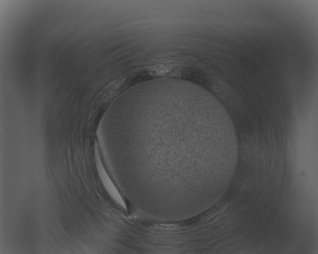 X0000050680085200506151740