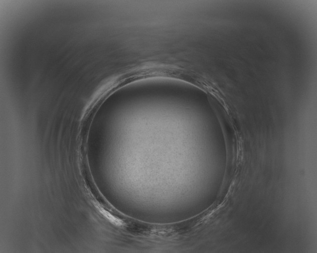 X0000050680101200506151739