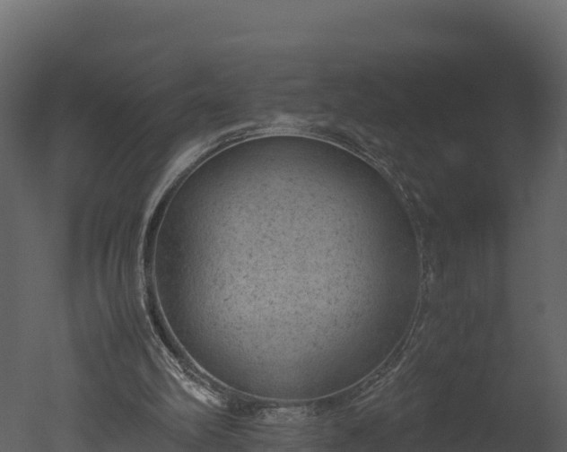 X0000050680102200506151739