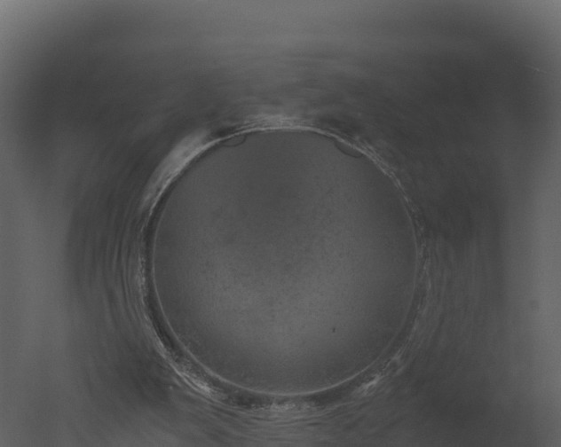 X0000050680103200506151739