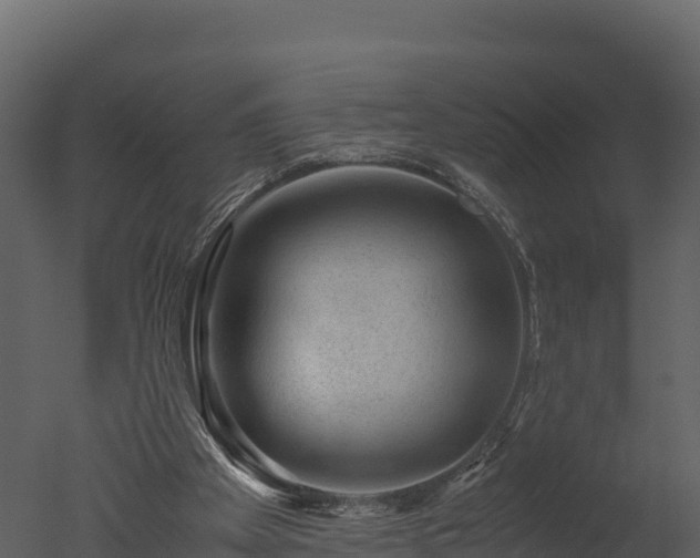 X0000050680105200506151739
