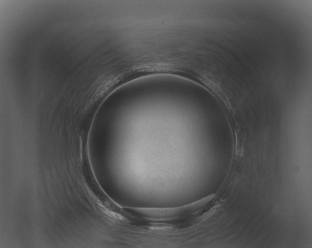 X0000050680109200506151739