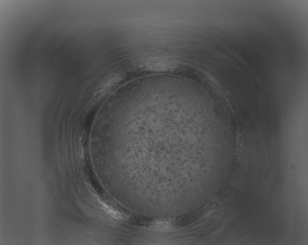 X0000050680114200506151739