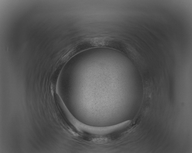 X0000050680125200506151738