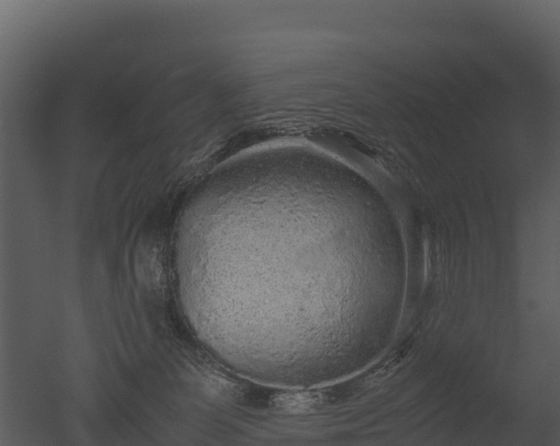 X0000050680131200506151738