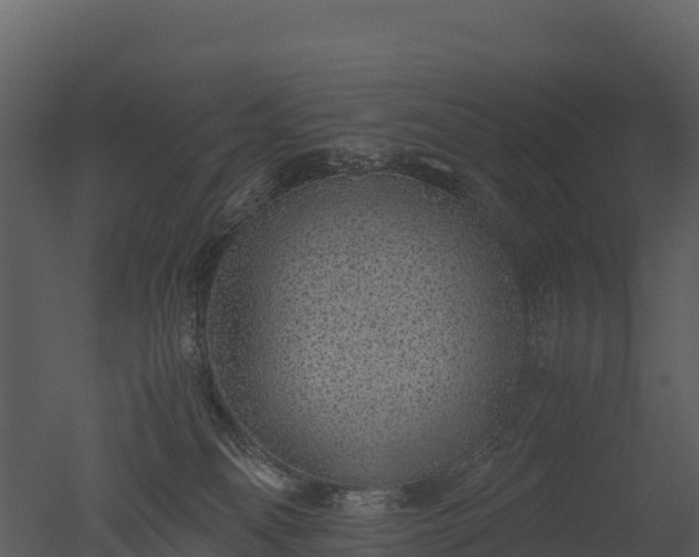 X0000050680134200506151738