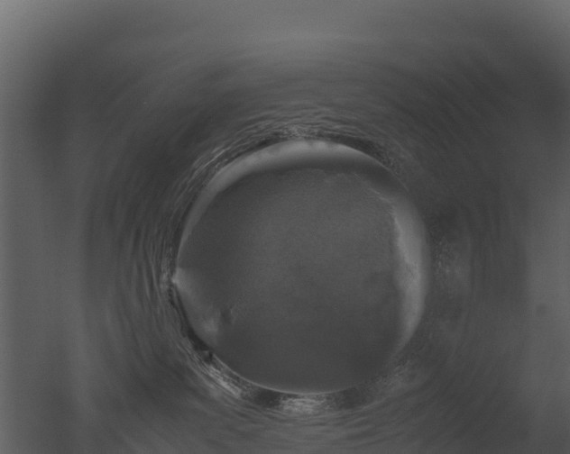 X0000050680139200506151738