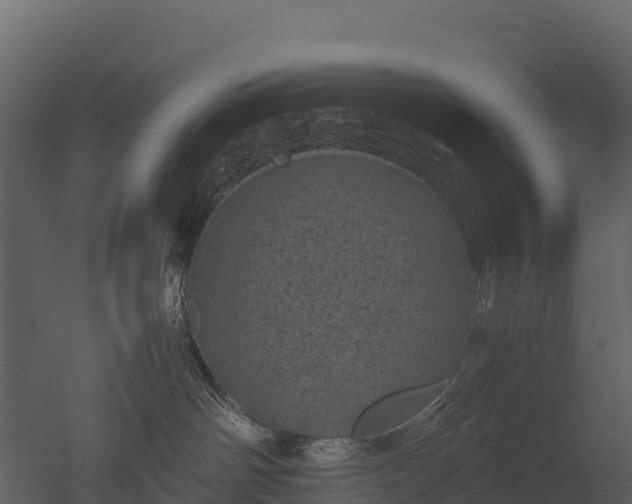 X0000050680142200506151738