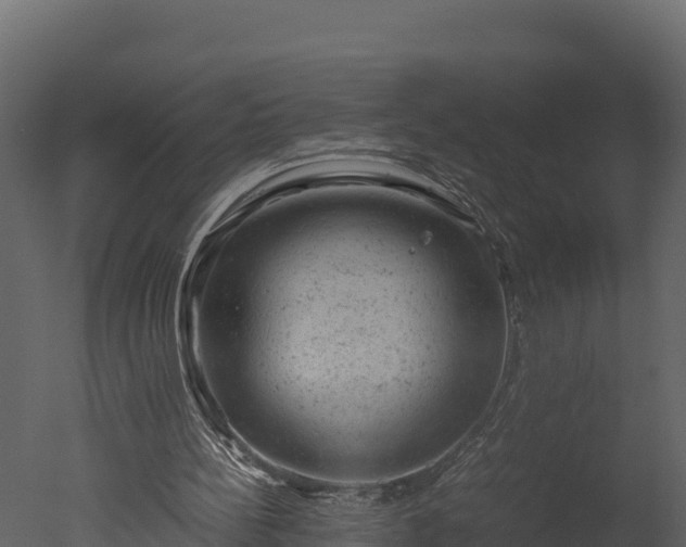 X0000050680148200506151737