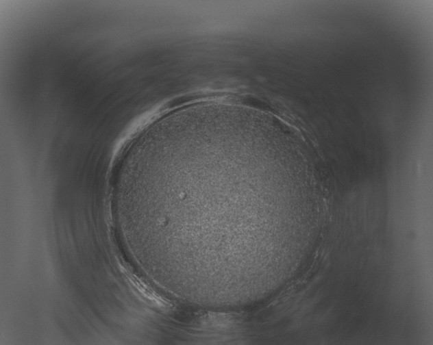 X0000050680149200506151737