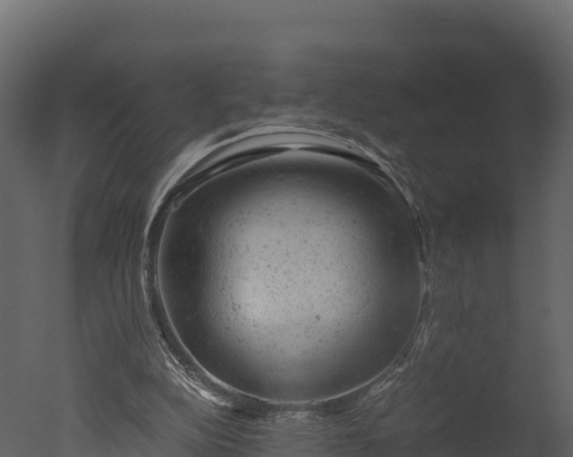 X0000050680152200506151737